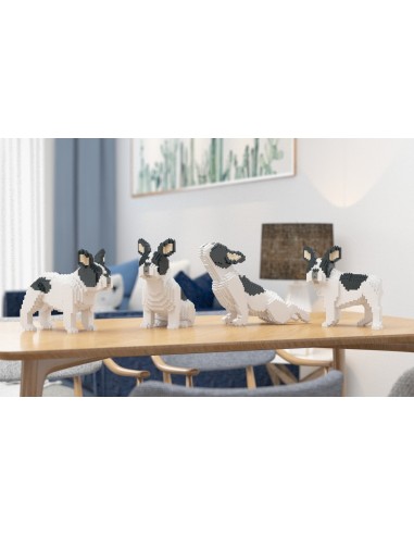 CHIEN BOULEDOGUE FRANCAIS BRIQUES JEKCA