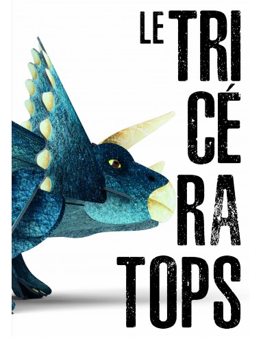 MAQUETTE 3D TRICERATOPS
