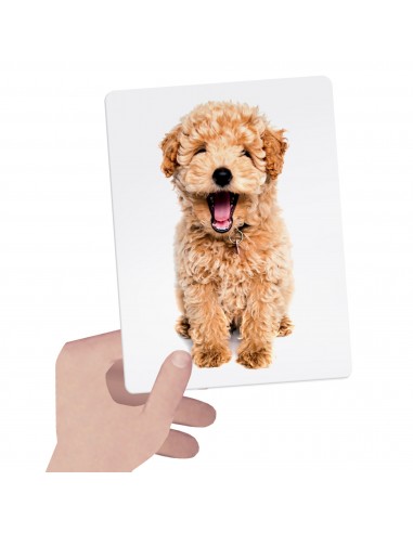 FLASHCARDS TACTILE MONTES SORI