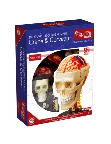 ANATOMIE DU CRANE