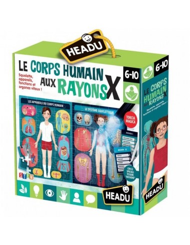 CORPS HUMAIN AUX RAYONS X HEADU