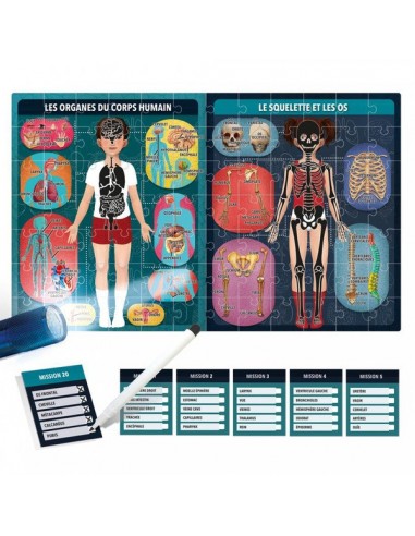 CORPS HUMAIN AUX RAYONS X HEADU