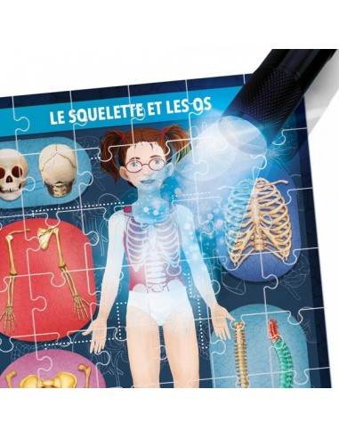 CORPS HUMAIN AUX RAYONS X HEADU