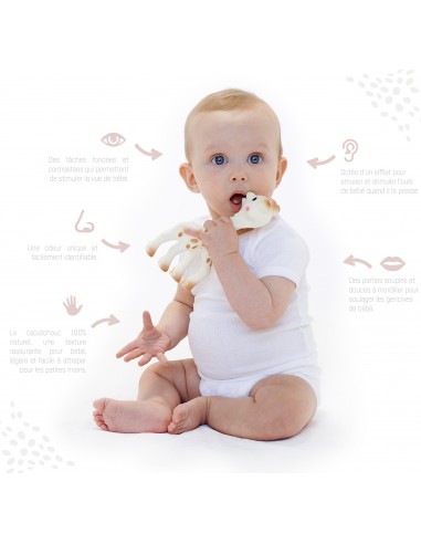 SOPHIE LA GIRAFE VULLI