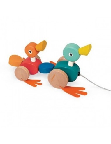 CANARDS FAMILY A PROMENER BOIS JANOD