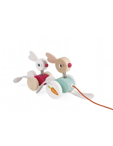 LAPIN A PROMENER ZIGOLOS BOIS JANOD