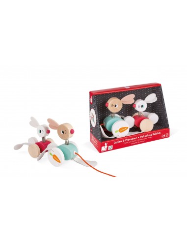 LAPIN A PROMENER ZIGOLOS BOIS JANOD