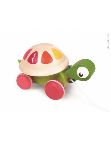 TORTUE A PROMENER ZIGOLOS BOIS  - JANOD