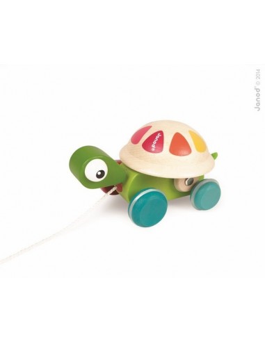 TORTUE A PROMENER ZIGOLOS BOIS  - JANOD