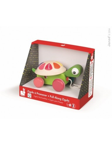 TORTUE A PROMENER ZIGOLOS BOIS  - JANOD