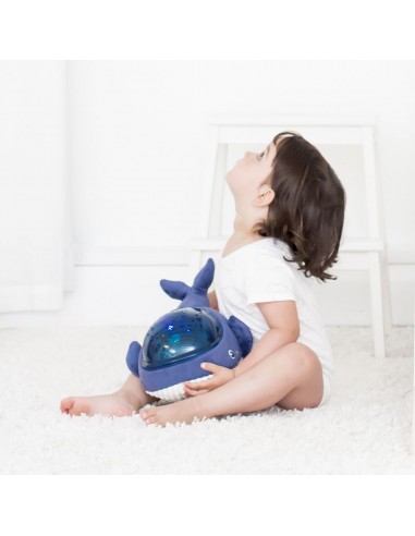 VEILLEUSE MUSICALE BALEINE AQUA DREAM
