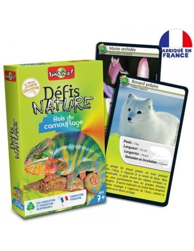 DÉFIS NATURE - ROIS DU CAMOUFLAGE