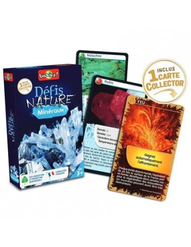 DEFIS NATURE - MINERAUX