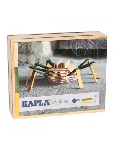 COFFRET ARAIGNEE KAPLA