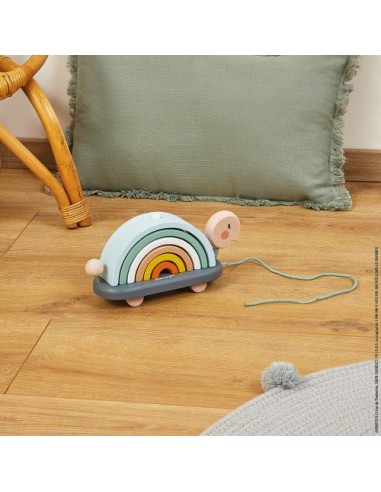 TORTUE ARC-EN-CIEL SWEET JANOD