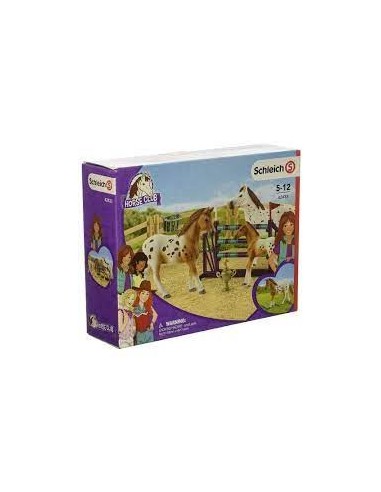 L'ENTRAINEMENT AU CONCOURS SCHLEICH