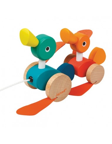 CANARDS FAMILY A PROMENER BOIS JANOD