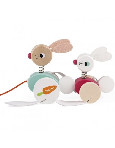 LAPIN A PROMENER ZIGOLOS BOIS JANOD