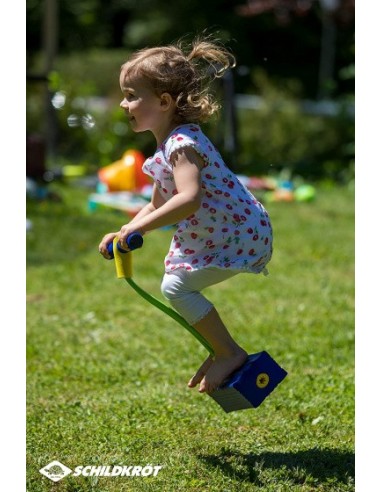 FUN JUMPER JEU DE SAUT