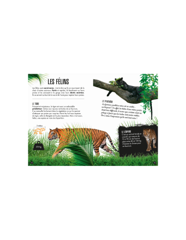 PUZZLE 3D MODELS - LA JUNGLE - ELEPHANT