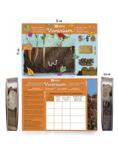 VIVARIUM RADIS ET CAPUCINE