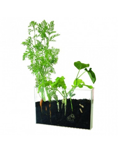 VIVARIUM RADIS ET CAPUCINE