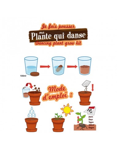 PLANTE QUI DANSE A FAIRE POUSSER