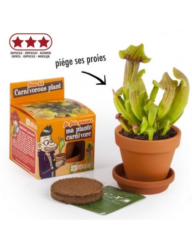 MA PLANTE CARNIVORE