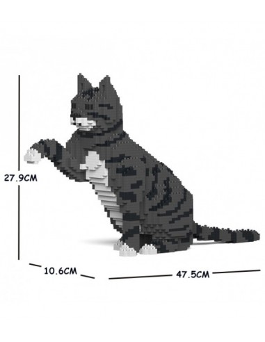 CHAT TIGRE GRIS FONCE QUI DONNE LA PATE