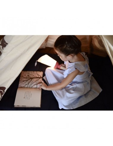 LAMPE NOMADE PASSE PARTOUT ROSE CHAT...