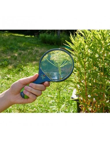 TERRA KIDS LOUPE POUR ENF ANT