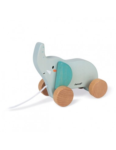 WWF ELEPHANT A PROMENER