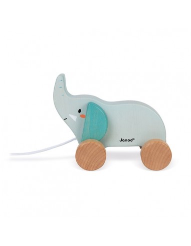 WWF ELEPHANT A PROMENER