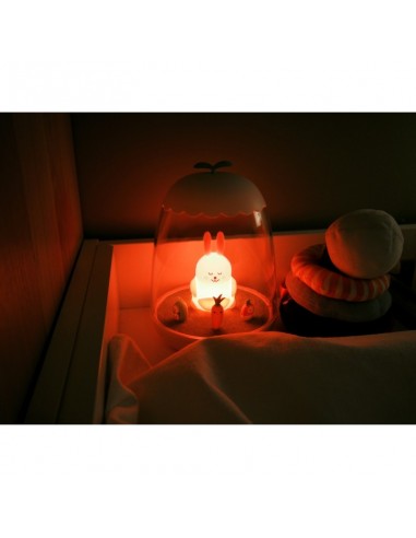 VEILLEUSE PETIT AKIO LAPIN